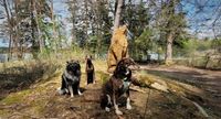 Sammy Finn und Leo mit Holzhund Deixlfurt