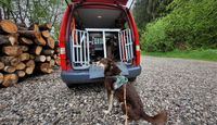 Schietwettergassi mit Leo, Sammy und Finn am Auto